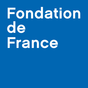 Vieillir acteur et citoyen de son territoire : la participation au cœur des lieux de vie - Fondation de France