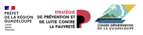 Préfecture de Région Conseil départemental/  Stratégie de prévention de la Pauvreté
