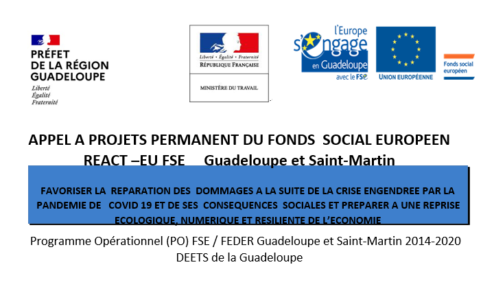 Appel à projets permanent du Fonds social Européen REACT - EU FSE 2023