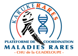 1er Colloque thématique sur les maladies rares en Guadeloupe - La dynamique "maladies rares" 
