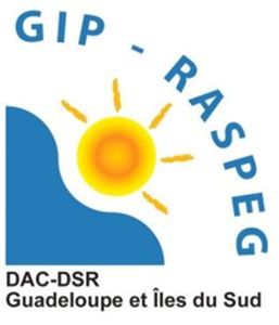 GIP-Raspeg DAC-DSR